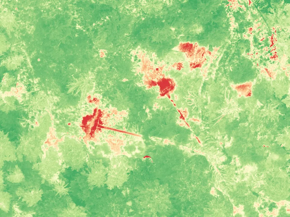 NDVI-Waldkarte, vitaler Bestand grün, Totholz rot