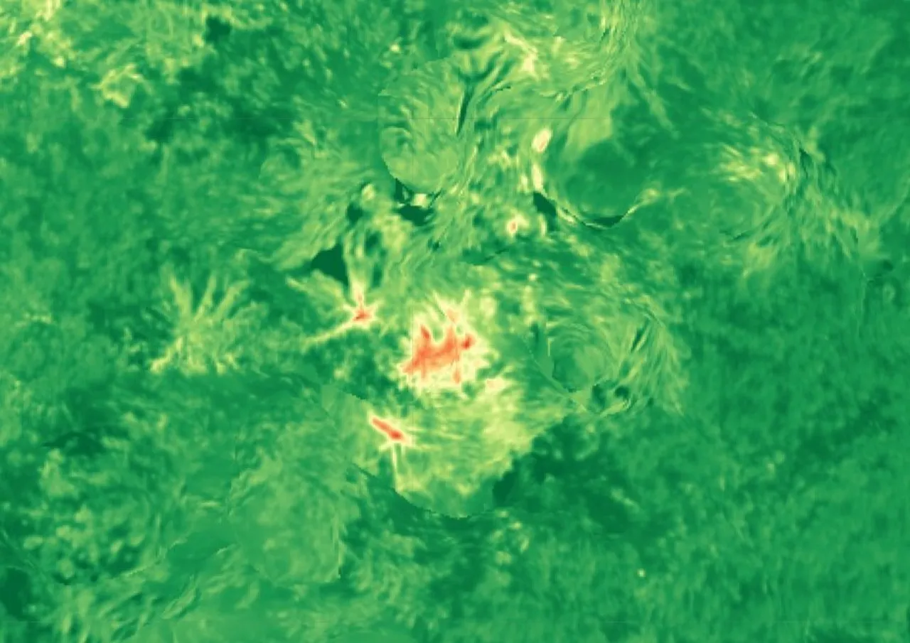 NDVI-Detail mit roten Stresszonen