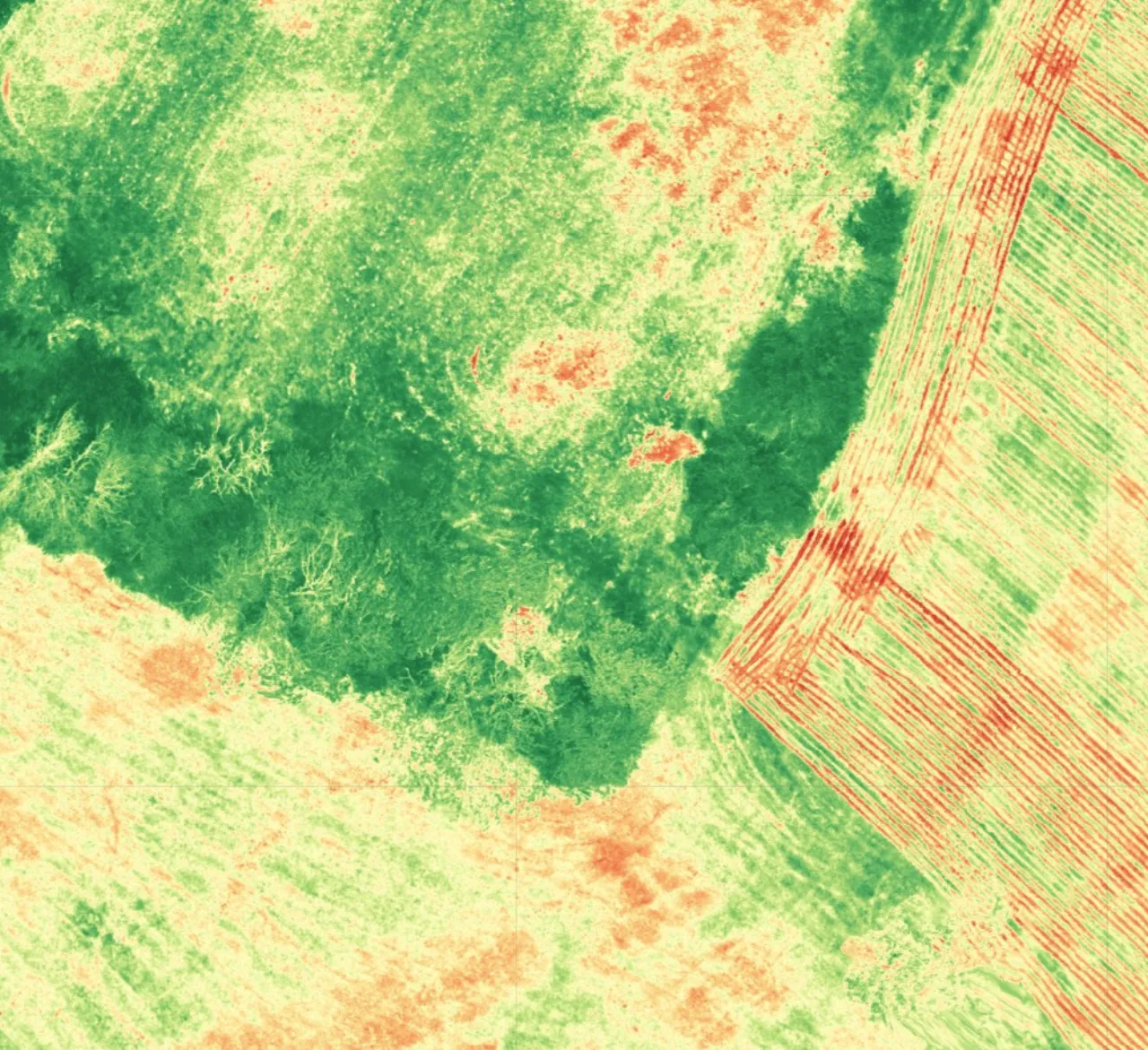 NDVI-Karte einer Fläche